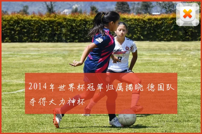 2014年世界杯冠军归属揭晓 德国队夺得大力神杯