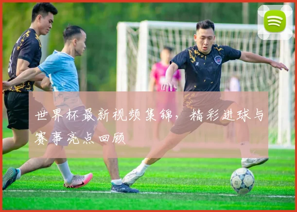 世界杯最新视频集锦,精彩进球与赛事亮点回顾