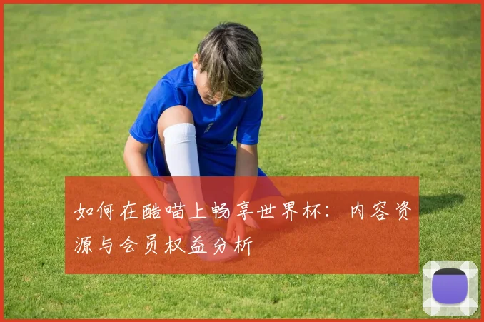 如何在酷喵上畅享世界杯:内容资源与会员权益分析