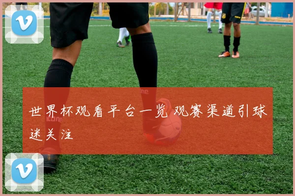 世界杯观看平台一览 观赛渠道引球迷关注