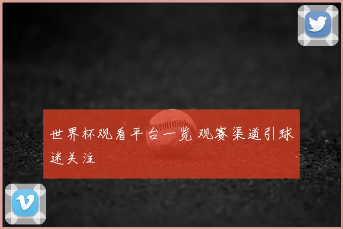 世界杯观看平台一览 观赛渠道引球迷关注
