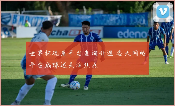 世界杯观看平台查询升温 各大网络平台成球迷关注焦点